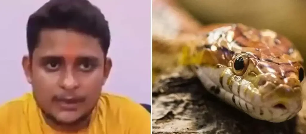 snake bites a 24 year old man