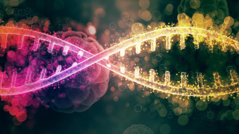 y chromosome shrinking